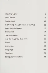 Other Stories And The Horse You Rode In On