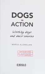 Dogs in Action