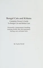 Bengal Cats and Kittens