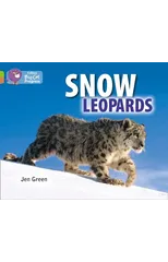Snow Leopards