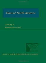 Flora of North America North of Mexico, vol. 28