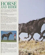 Ultimate Book of the Horse and Rider