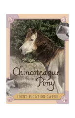 Chincoteague Pony Identification Cards