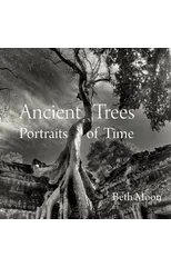 Ancient Trees
