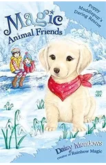 Magic Animal Friends