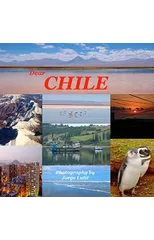 Dear Chile