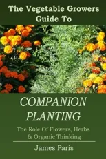 Companion Planting