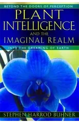 Plant Intelligence and the Imaginal Realm