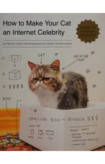 How to Make Your Cat an Internet Celebrity