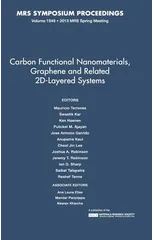 Carbon Functional Nanomaterials, Graphene and Related 2D-Layered Systems