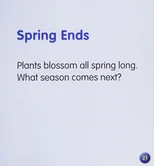 What Blossoms in Spring?