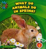 What Do Animals Do in Spring?