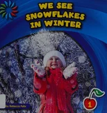 We See Snowflakes in Winter