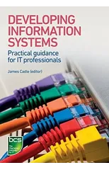 Developing Information Systems