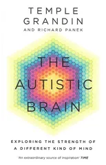 The Autistic Brain