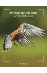 Photographing Birds