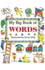 My Big Book of Words
