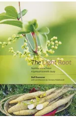 The Light Root