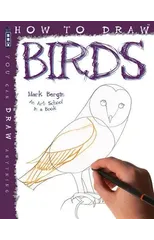 How To Draw Birds