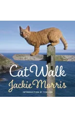 Cat Walk