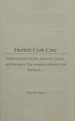 Hermit Crab Care