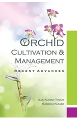 Orchid
