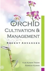 Orchid
