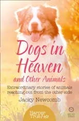 Dogs in Heaven