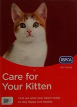 Care for Your Kitten