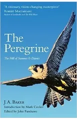 The Peregrine