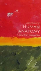 Human Anatomy