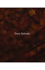 Doris Salcedo