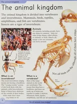 First Animal Encyclopedia