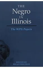 The Negro in Illinois
