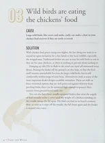 The Chicken Keeper's Problem Solver