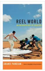 Reel World