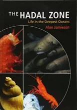 The Hadal Zone