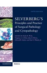 Silverberg's Principles and Practice of Surgical Pathology and Cytopathology 4 Volume Set with Online Access