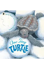 One Tiny Turtle
