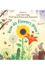 First Questions and Answers