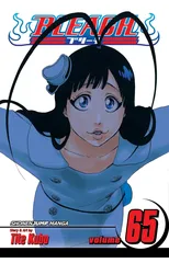 Bleach, Vol. 65