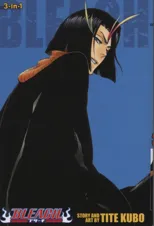 Bleach (3-in-1 Edition), Vol. 13