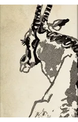 Solitary Oryx (Alistair Bell Collection) Midi Lined Hardcover Journal (Elastic Band Closure)