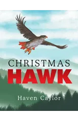 Christmas Hawk