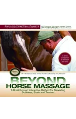 Beyond Horse Massage Wall Chart