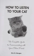 How to Listen to Your Cat