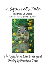 A Squirrel's tale, The Story Of Charlie, A California Ground Squirrel