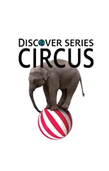 Circus