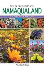 Wild Flowers of Namaqualand