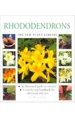 Rhododendrons